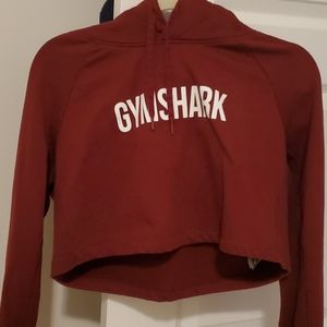 Gymshark Cropped Training Hoodie